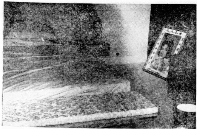 1969-01-12 星洲日报:雷震鮮花禱祝盼樂蒂魂兮歸來 image (1)